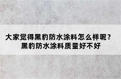 大家觉得黑豹防水涂料怎么样呢？ 黑豹防水涂料质量好不好